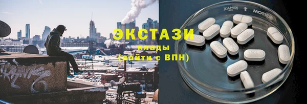 мдпв Гусев
