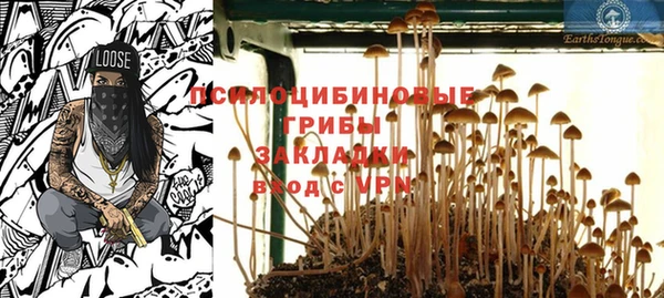 мет Гусиноозёрск