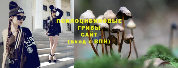 мет Гусиноозёрск