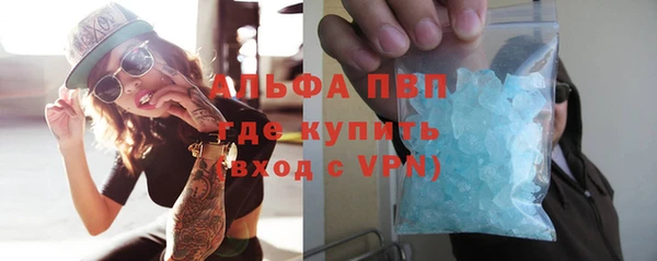 мдпв Гусев