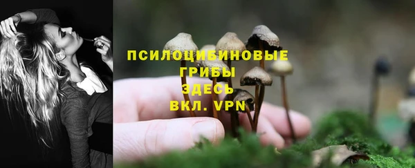 мдпв Гусев