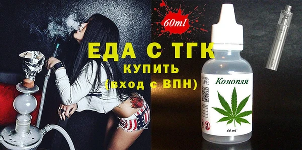мдпв Гусев
