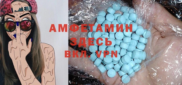 мдпв Гусев