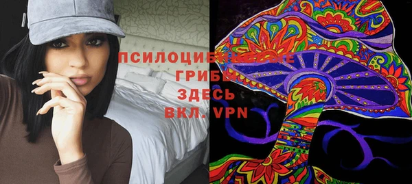 ALPHA PVP Гусь-Хрустальный