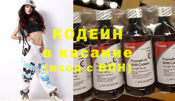 мдпв Гусев