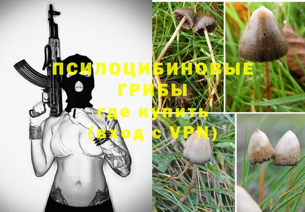 мет Гусиноозёрск