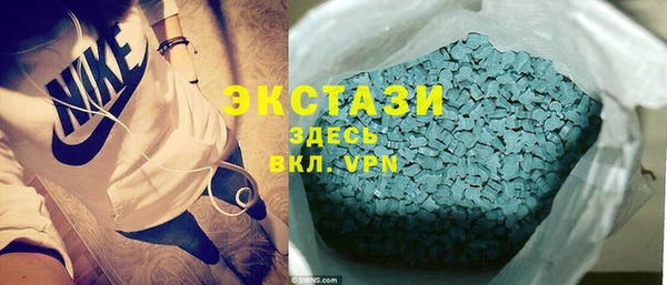 мдпв Гусев