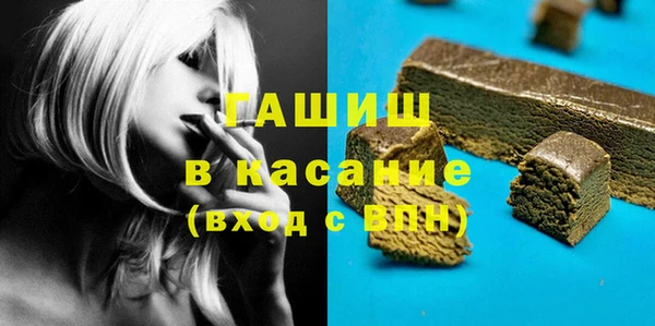 мдпв Гусев