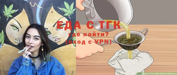 мдпв Гусев