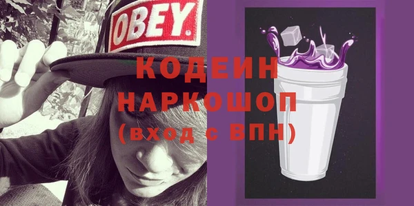 мдпв Гусев