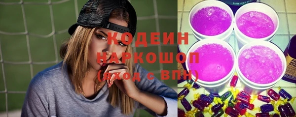 мдпв Гусев
