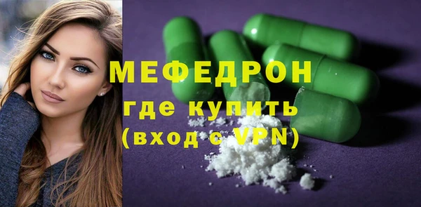 мдпв Гусев