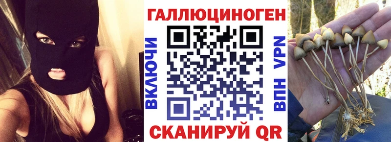 где можно купить Окуловка Псилоцибиновые грибы MAGIC MUSHROOMS
